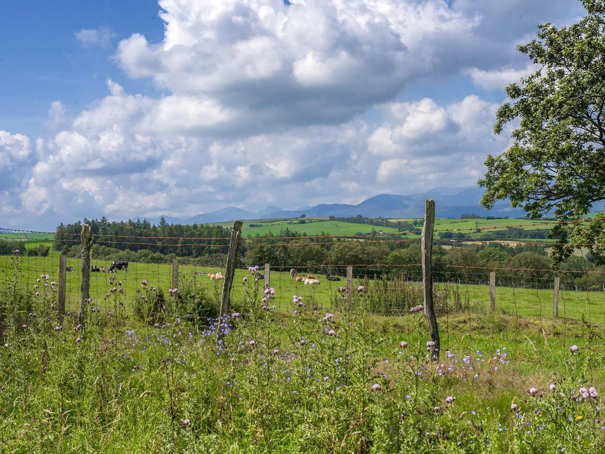 Dol Y Mynydd The Mountain Meadow-Qu7521 Villa Llangerniew Luaran gambar